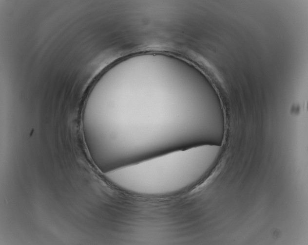 X0000093261170200709261612