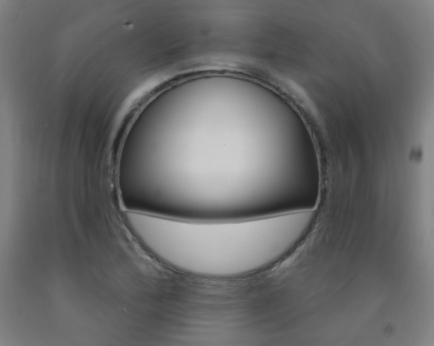 X0000093261172200709261612