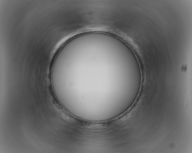 X0000093261174200709261612