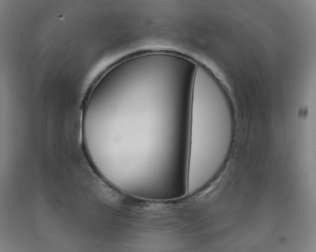 X0000093261175200709261612