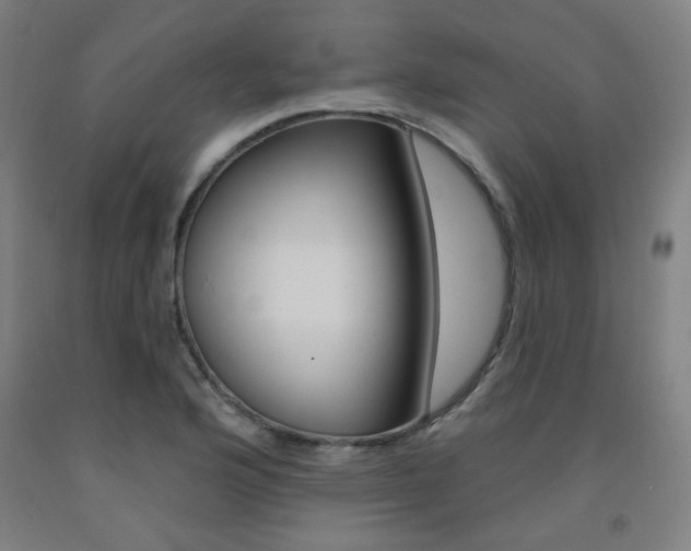X0000093261176200709261612