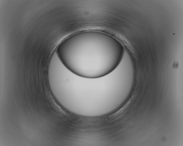 X0000093261177200709261612