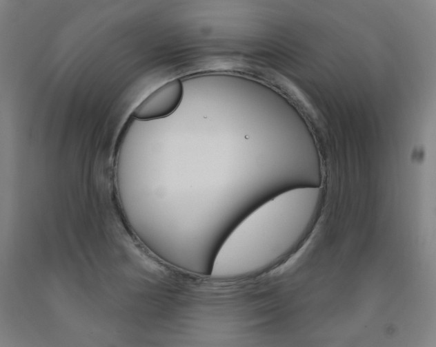 X0000093261178200709261612
