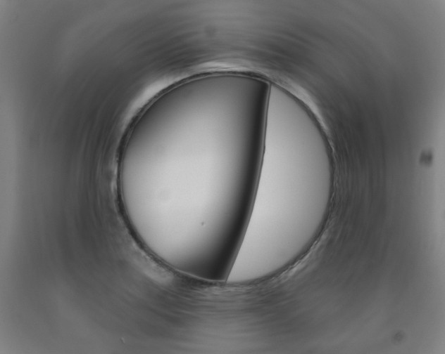 X0000093261179200709261612