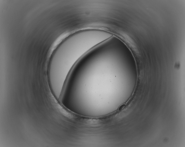 X0000093261180200709261612