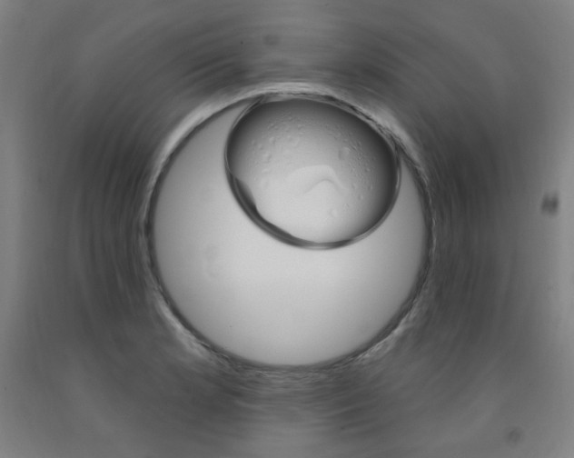 X0000093261181200709261612