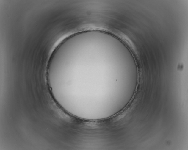 X0000093261182200709261612