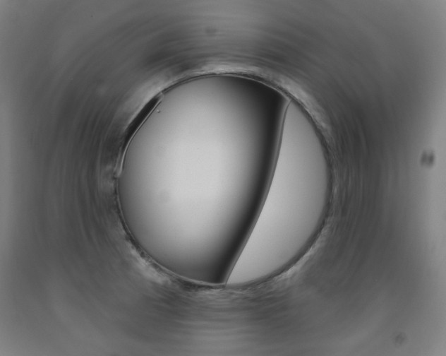 X0000093261185200709261611