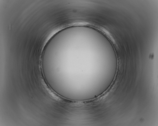 X0000093261186200709261611