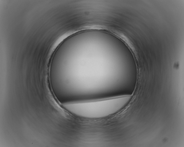 X0000093261187200709261611