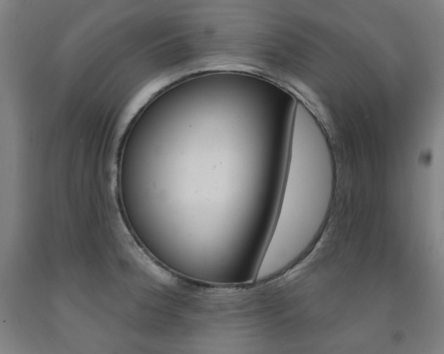X0000093261188200709261611