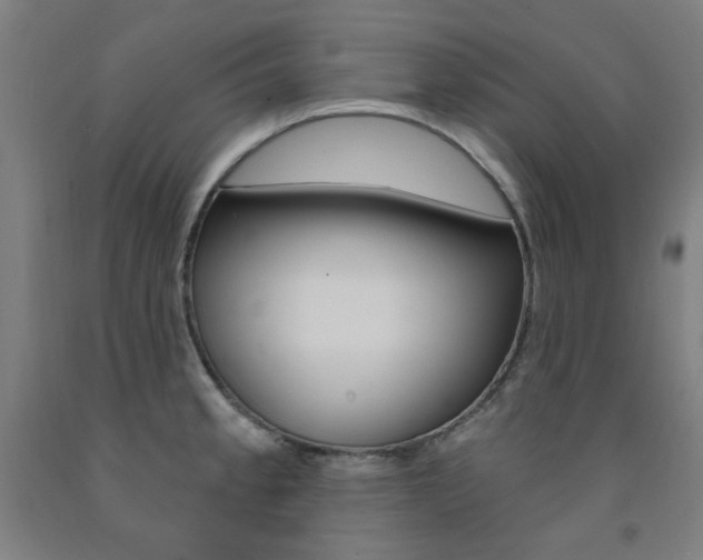 X0000093261189200709261611