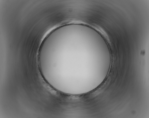 X0000093261190200709261611