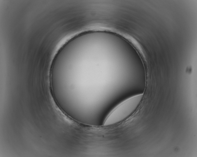 X0000093261191200709261611