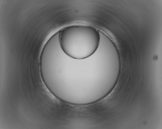 X0000093261192200709261611