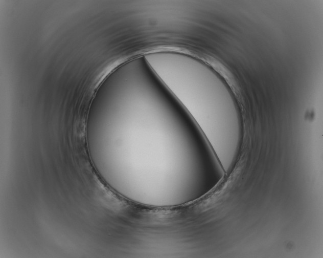 X0000093261193200709261611