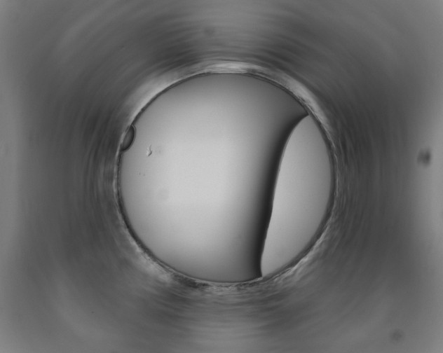 X0000093261194200709261611