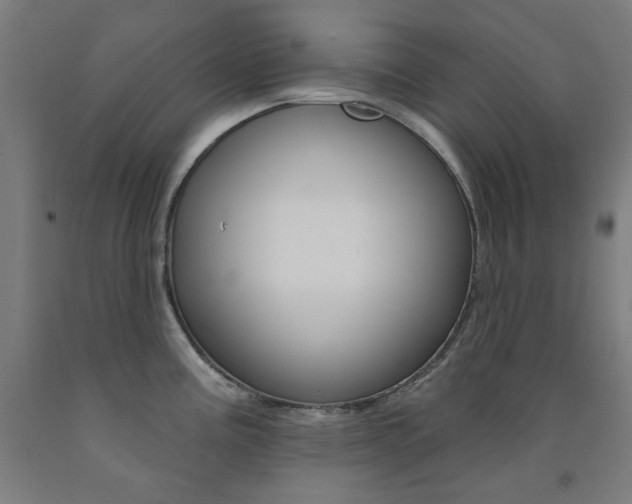 X0000093261195200709261611