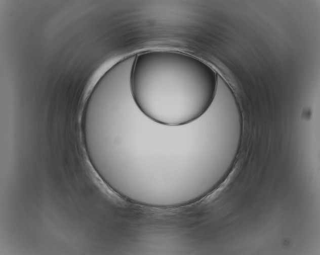 X0000093261196200709261611