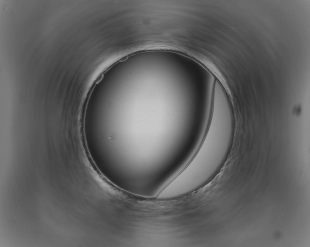 X0000093261197200709261611