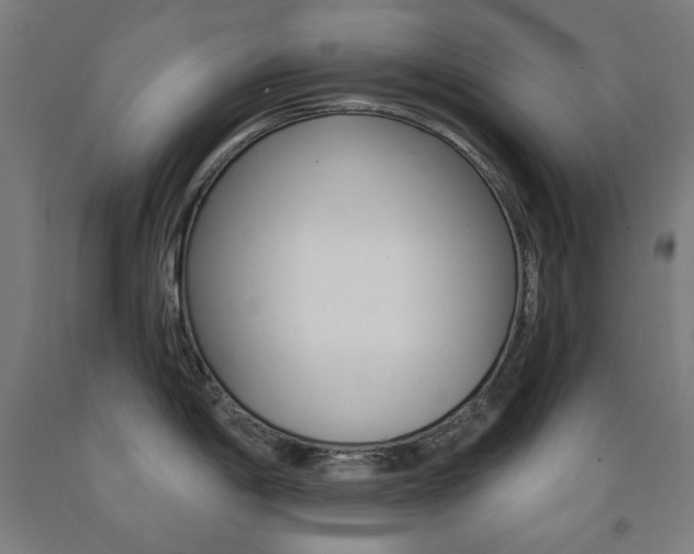 X0000093261198200709261611