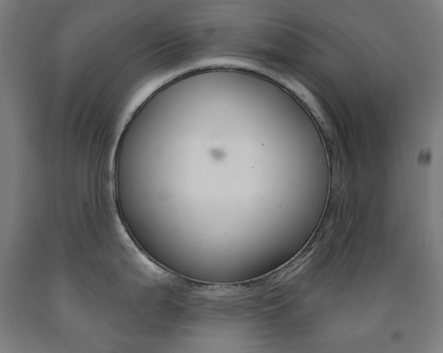 X0000093261199200709261611