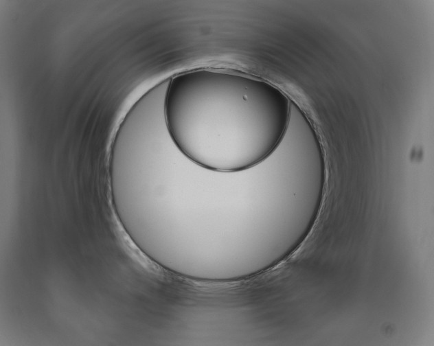 X0000093261200200709261611