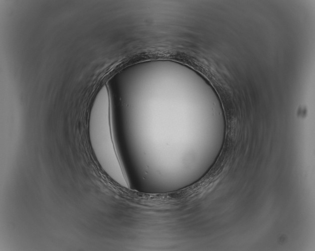 X0000093261201200709261611