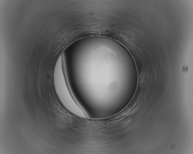 X0000093261202200709261611