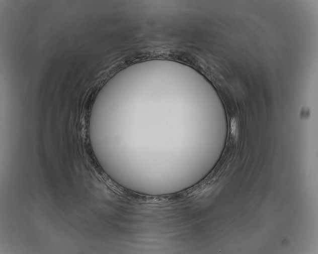 X0000093261203200709261611