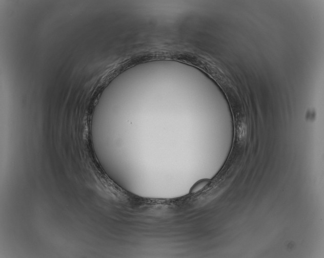 X0000093261204200709261611