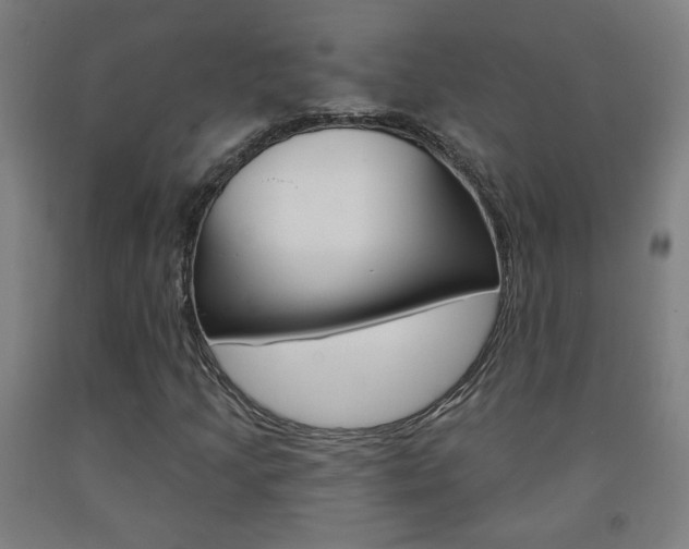 X0000093261205200709261611