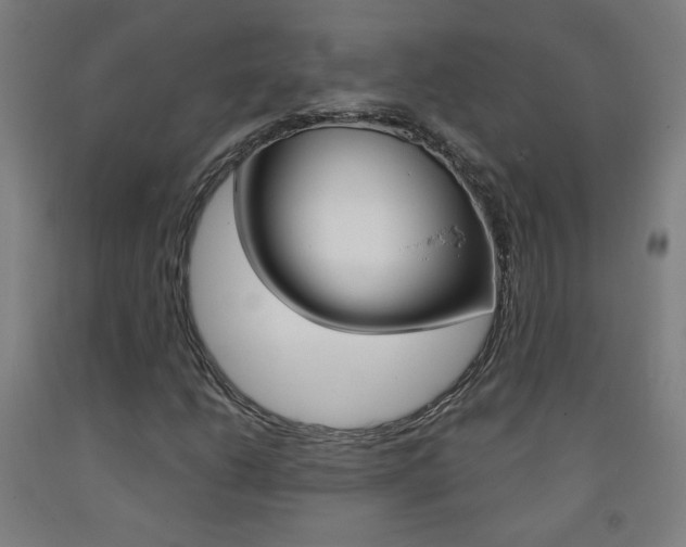 X0000093261206200709261611