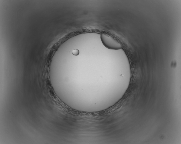 X0000093261207200709261611