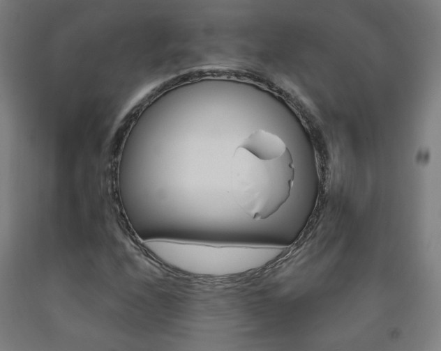 X0000093261208200709261611
