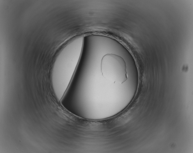 X0000093261209200709261611