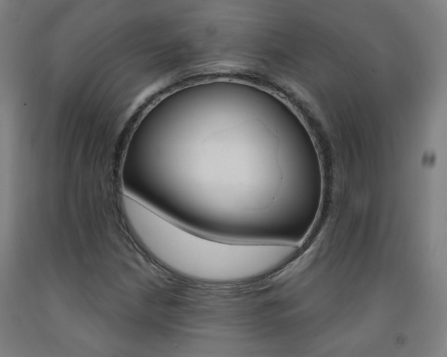 X0000093261210200709261611