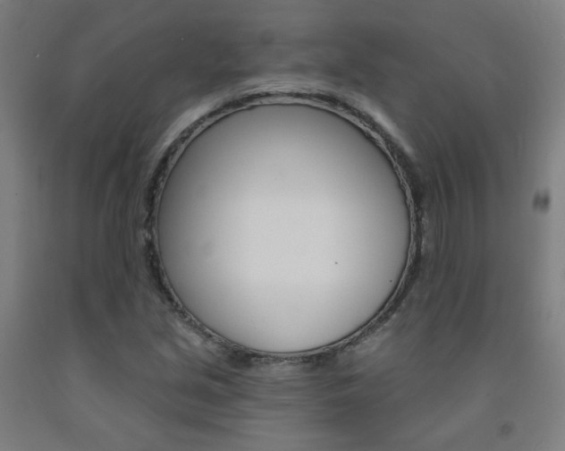 X0000093261213200709261611