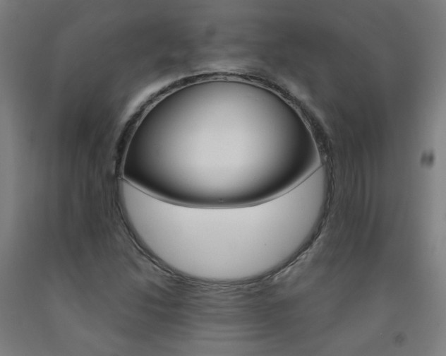 X0000093261214200709261611