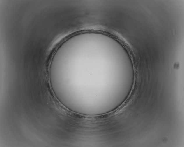 X0000093261215200709261611