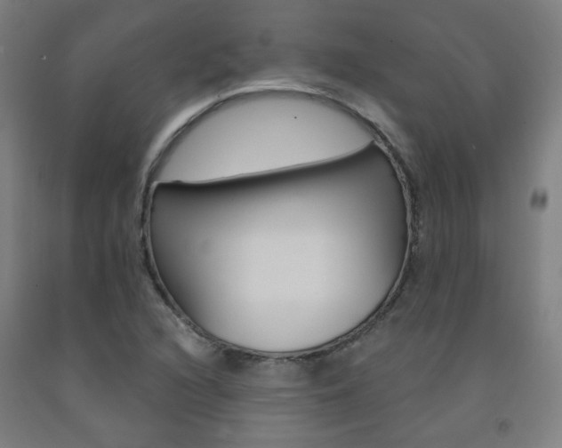 X0000093261216200709261611