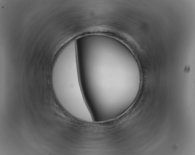 X0000093261217200709261611