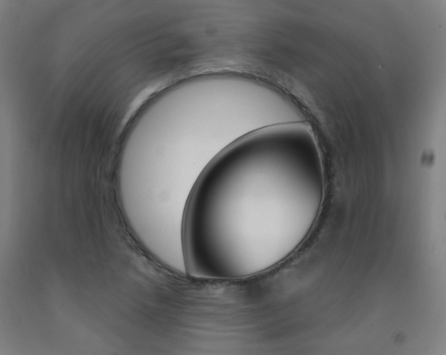 X0000093261218200709261611