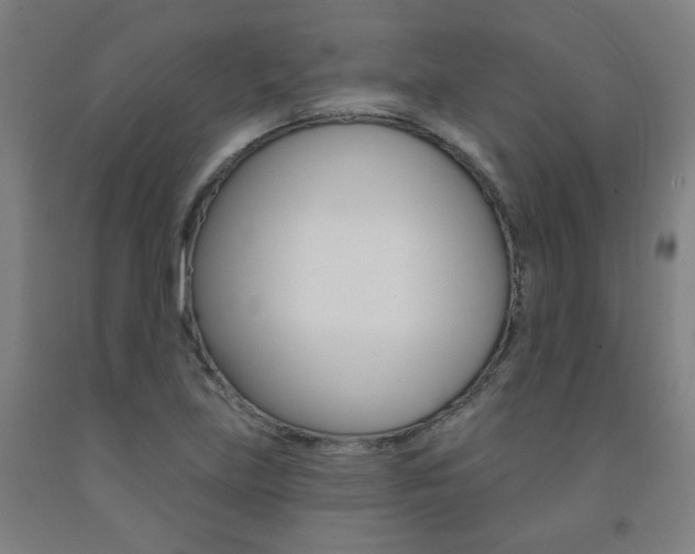 X0000093261219200709261611