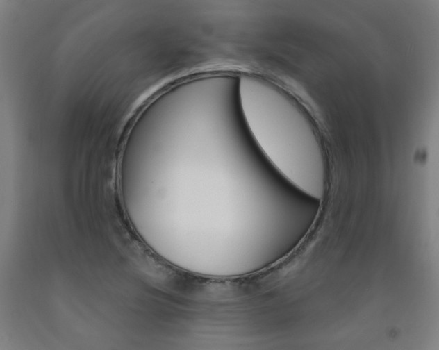 X0000093261220200709261611