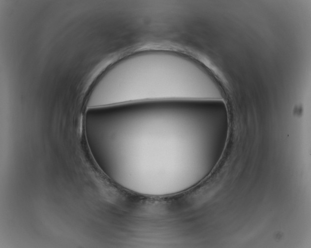 X0000093261221200709261611