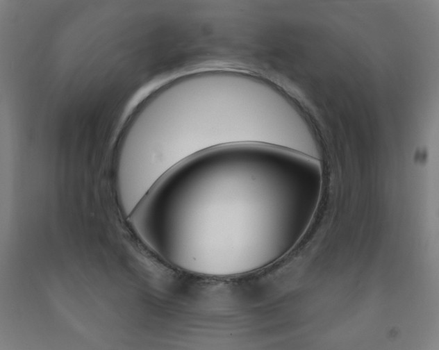 X0000093261222200709261611