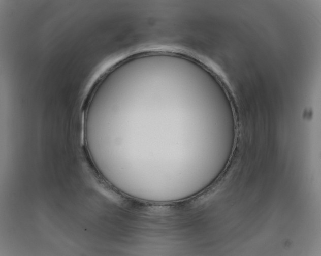X0000093261223200709261611