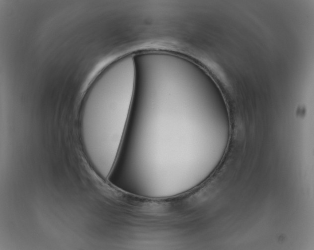 X0000093261224200709261611