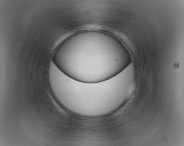 X0000093261225200709261611